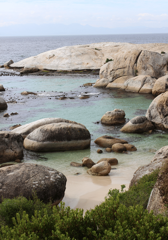 Penguin Colony beach