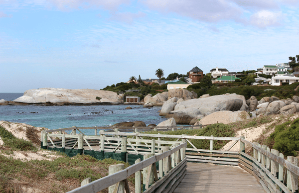 Penguin Colony walkway