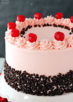 Cherry Chocolate Chip Cake on white stand close up