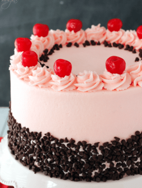 Cherry Chocolate Chip Cake on white stand close up