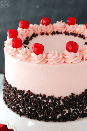 Cherry Chocolate Chip Cake on white stand close up