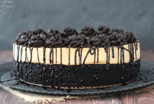 Side view of a Peanut Butter Truffle Chocolate Cake on a metal plate