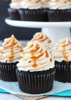 Kahlua Chocolate Cupcakes with Salted Caramel close up