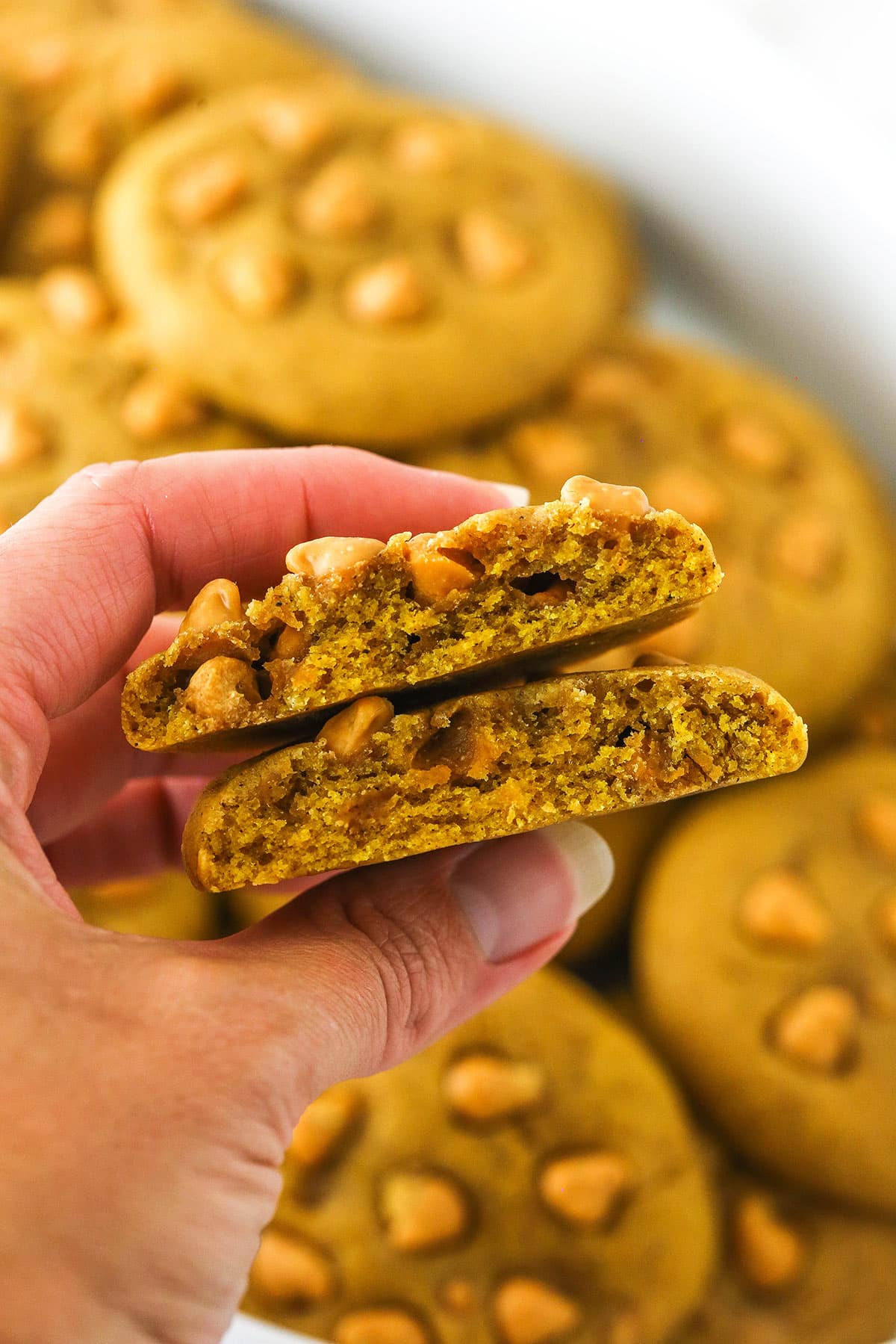 pumpkin butterscotch chip cookie broken in half and held up to the camera