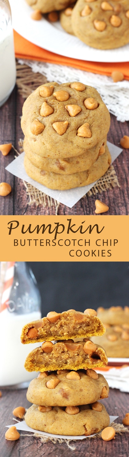 Pumpkin Butterscotch Chip Cookies - moist, chewy, dense pumpkin cookies filled with butterscotch chips! Not at all cakey!