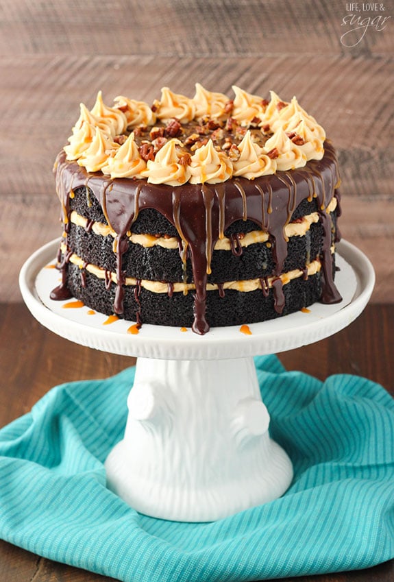 Image result for turtle chocolate layer cake"