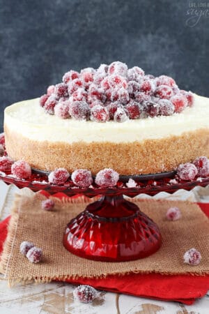 No Bake Sparkling Cranberry Orange Cheesecake on red stand close up