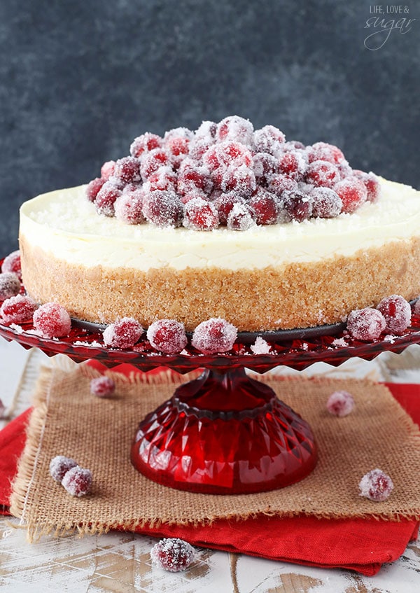 No Bake Sparkling Cranberry Orange Cheesecake on red stand close up