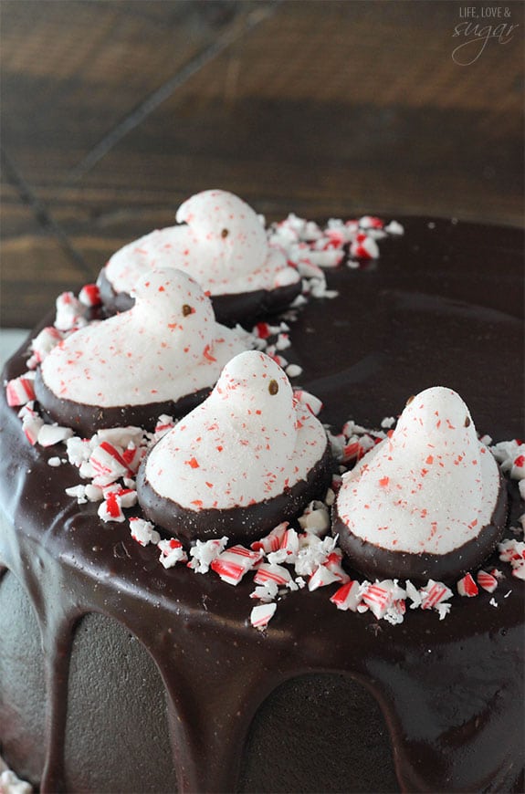 Close-up of PEEPS® Peppermint Chocolate Cake 