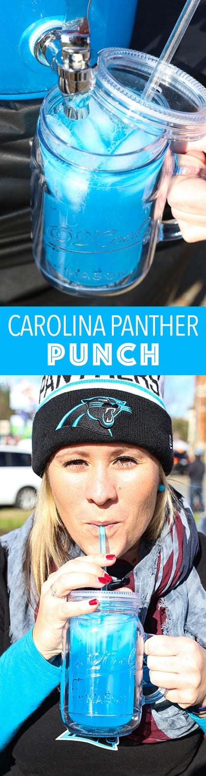 Carolina Panther Punch collage