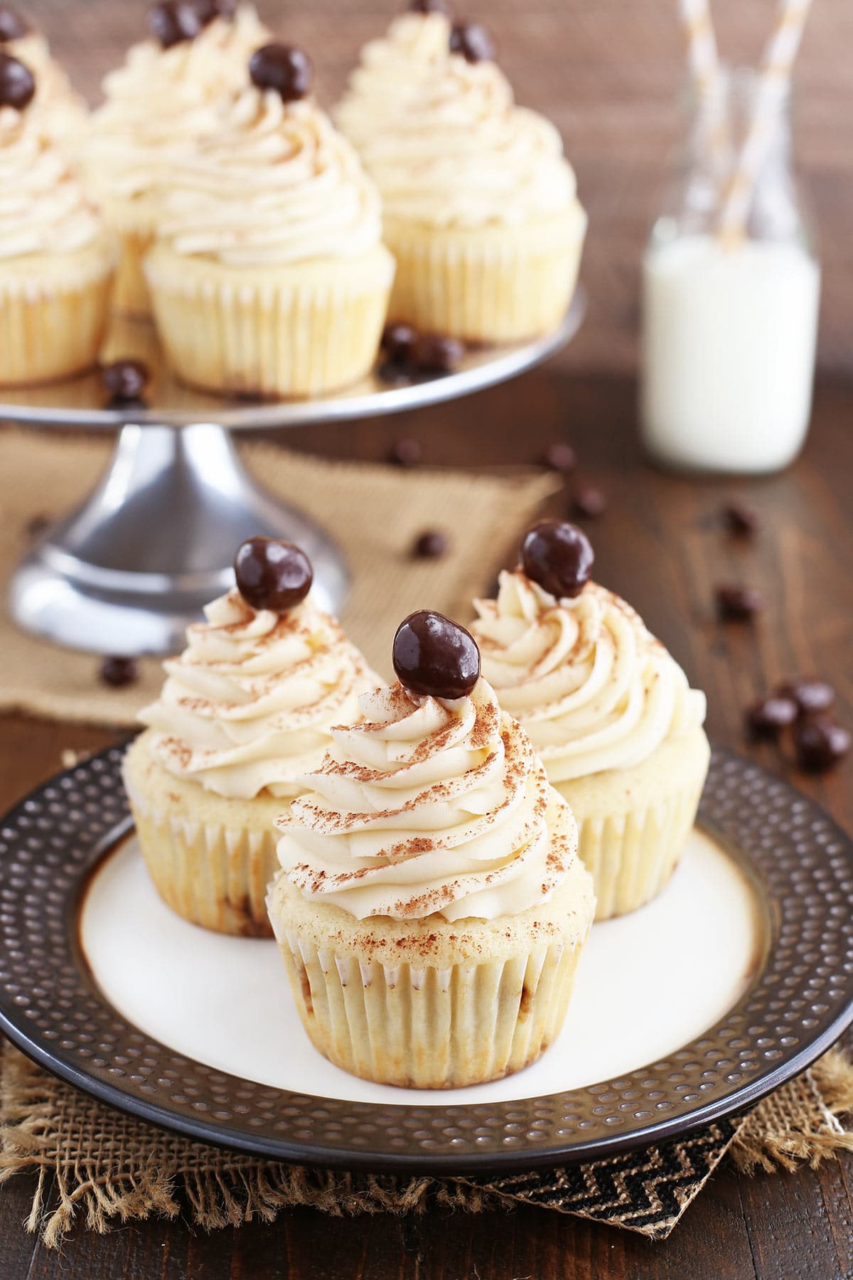 Three Tiramisu Cupcakes on plate