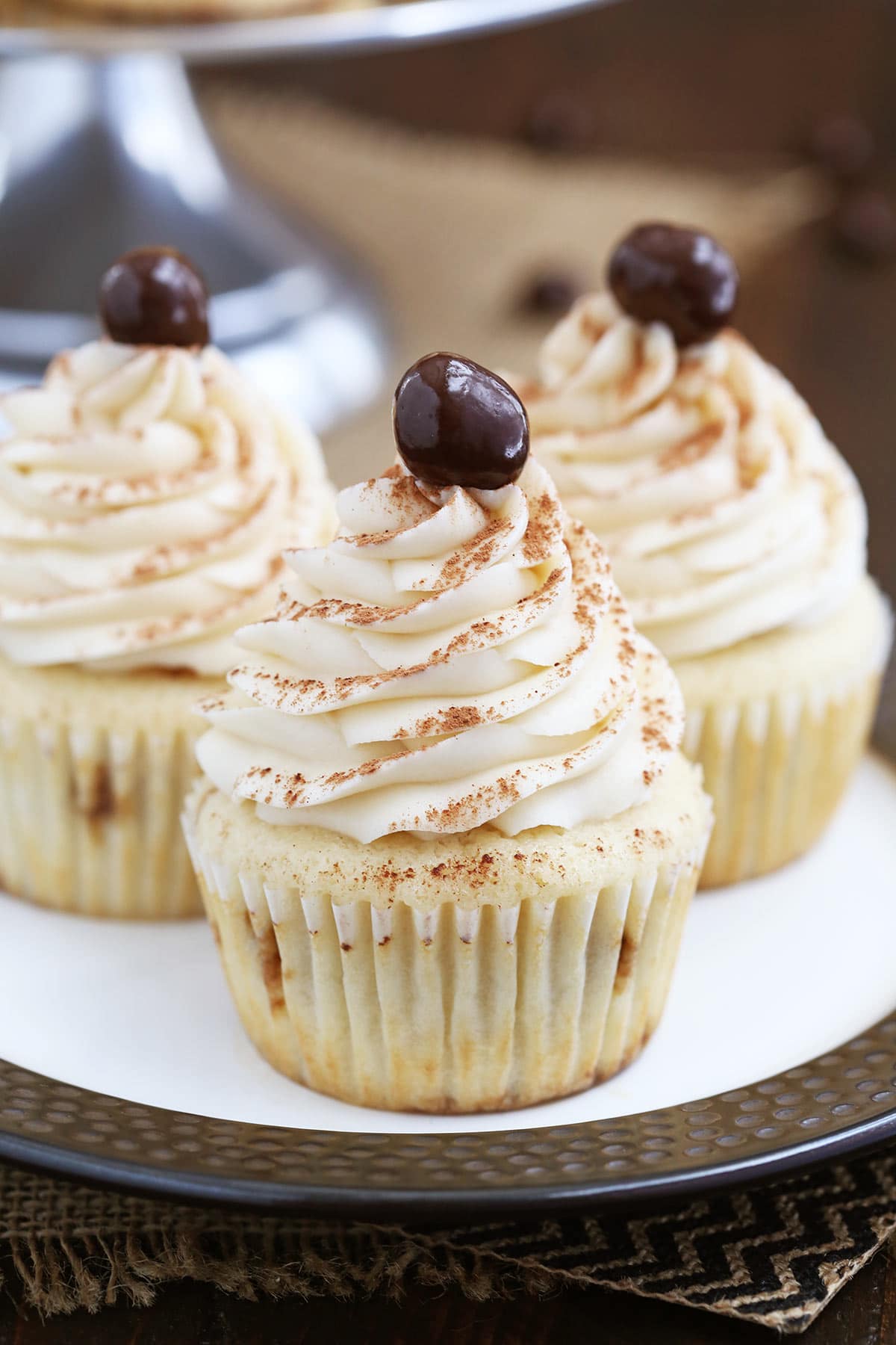 Three Tiramisu Cupcakes on plate close up