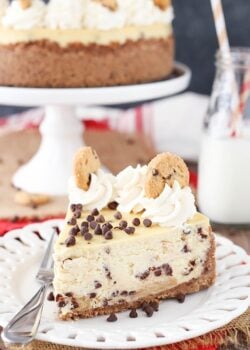 Chocolate Chip Shortbread Cheesecake slice on plate