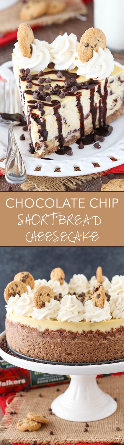 Chocolate Chip Shortbread Cheesecake - a Walkers chocolate chip shortbread crust, chocolate chip filled cheesecake and chocolate chip shortbread in the cheesecake! Such a delicious dessert!