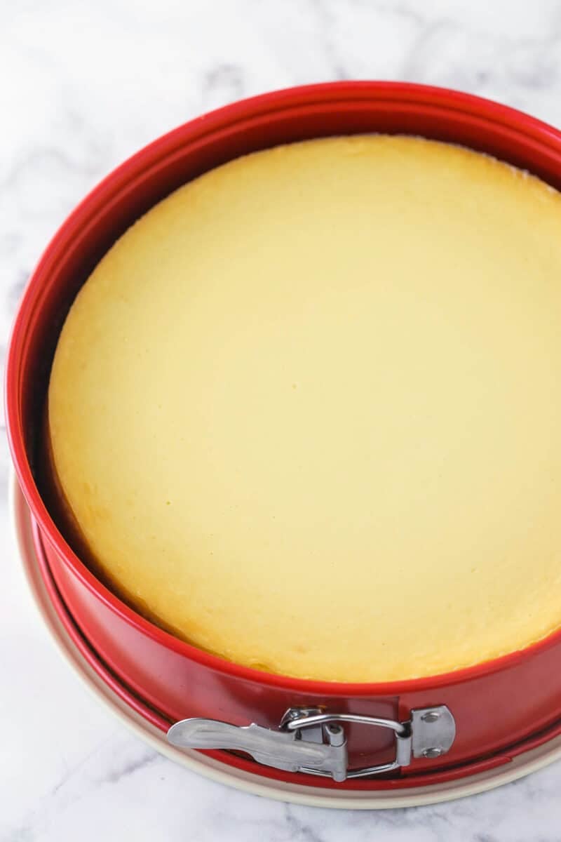 a cheesecake in a springform pan that was baked with a water bath, after baking and cooling