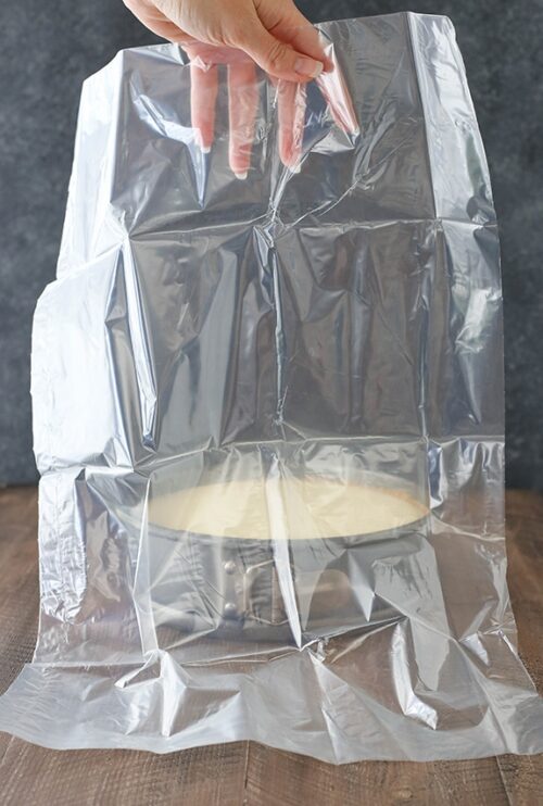 How to Prevent Your Cheesecake Water Bath from Leaking (7 Easy Steps)