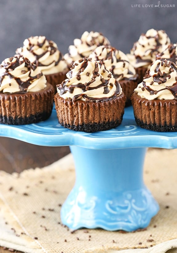 Mini Baileys Chocolate Cheesecakes - Irish Cream in the cheesecake and the whipped cream! The cupcake size makes them the perfect size dessert!