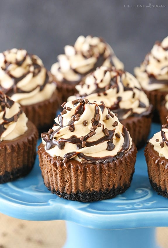 Homemade Mini Baileys Chocolate Cheesecakes