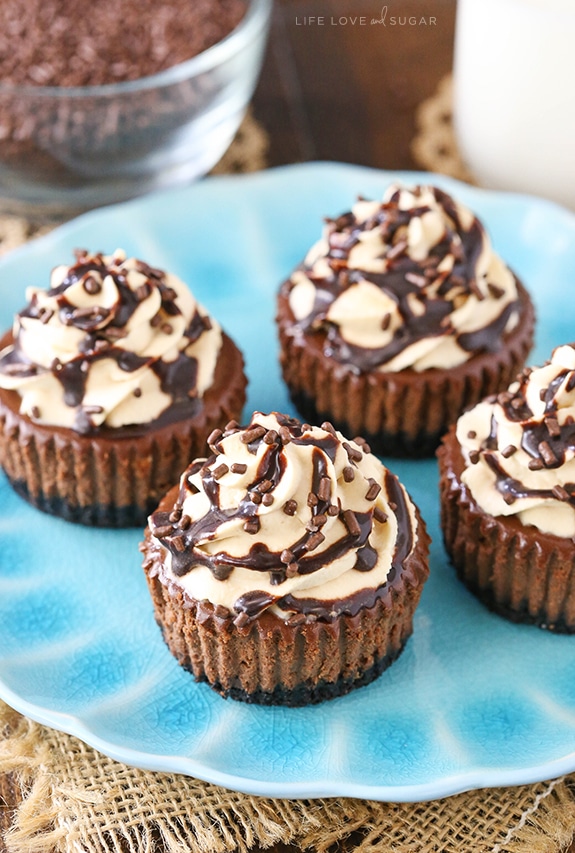 Best Mini Chocolate Cheesecakes 