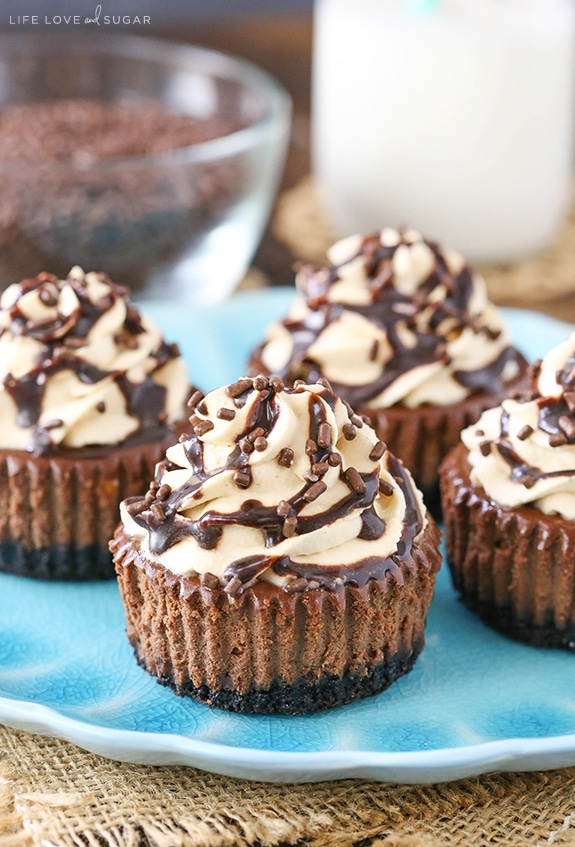 Mini Baileys Chocolate Cheesecakes on a blue plate