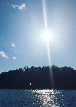 The Sun Shining Over a Sparkling Lake Lined with Trees