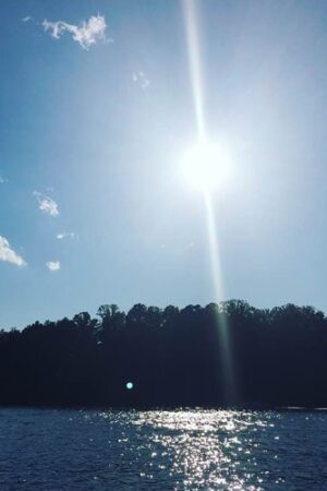 The Sun Shining Over a Sparkling Lake Lined with Trees