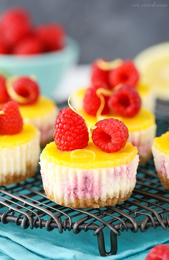 Lemon Raspberry Mini Cheesecakes - Easy to make and a delicious dessert recipe!