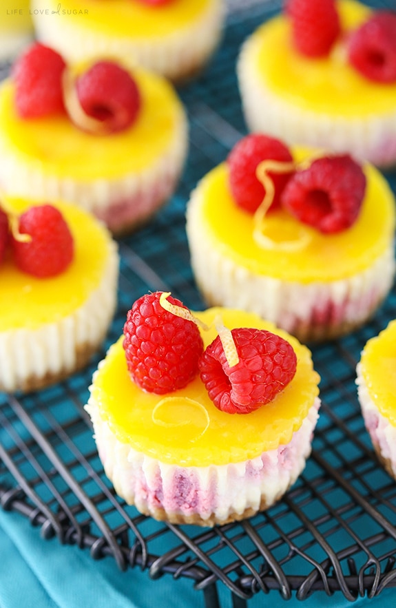 Lemon Raspberry Mini Cheesecakes - Easy to make and a delicious dessert recipe!