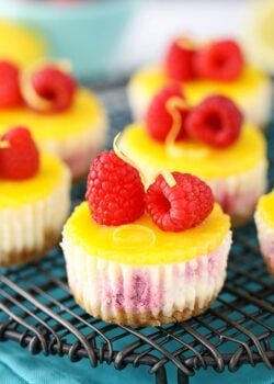 image of Lemon Raspberry Mini Cheesecakes on cooking rack