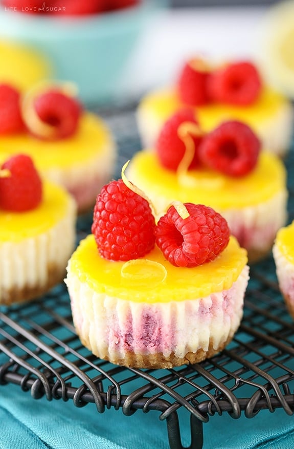 Lemon Raspberry Mini Cheesecakes - Easy to make and a delicious dessert recipe!