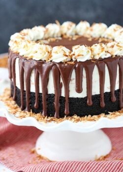 Toasted Coconut Chocolate Ice Cream Cake on a cake stand