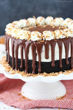 Toasted Coconut Chocolate Ice Cream Cake on a cake stand
