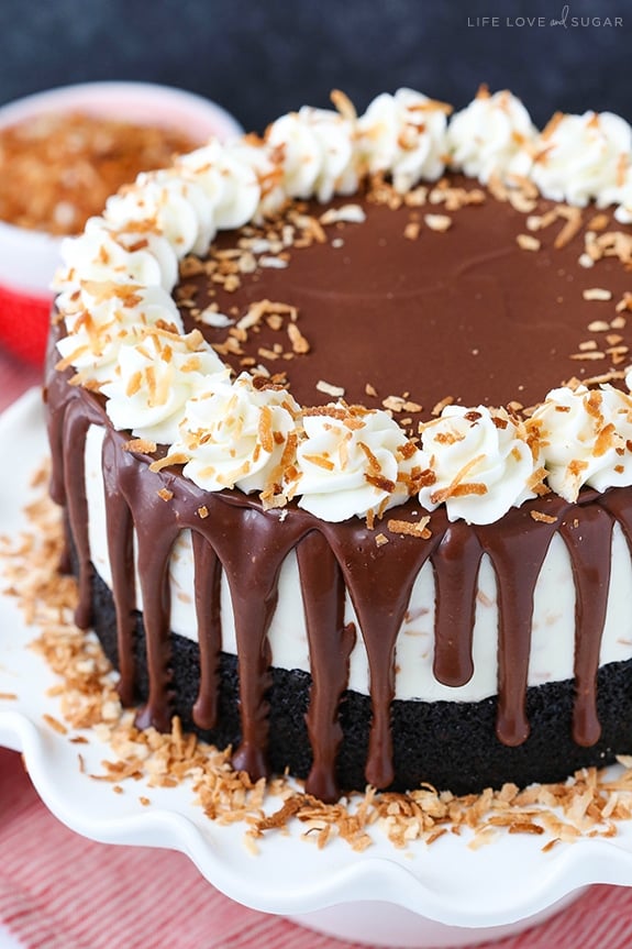 Decorated Toasted Coconut Chocolate Ice Cream Cake on a cake stand