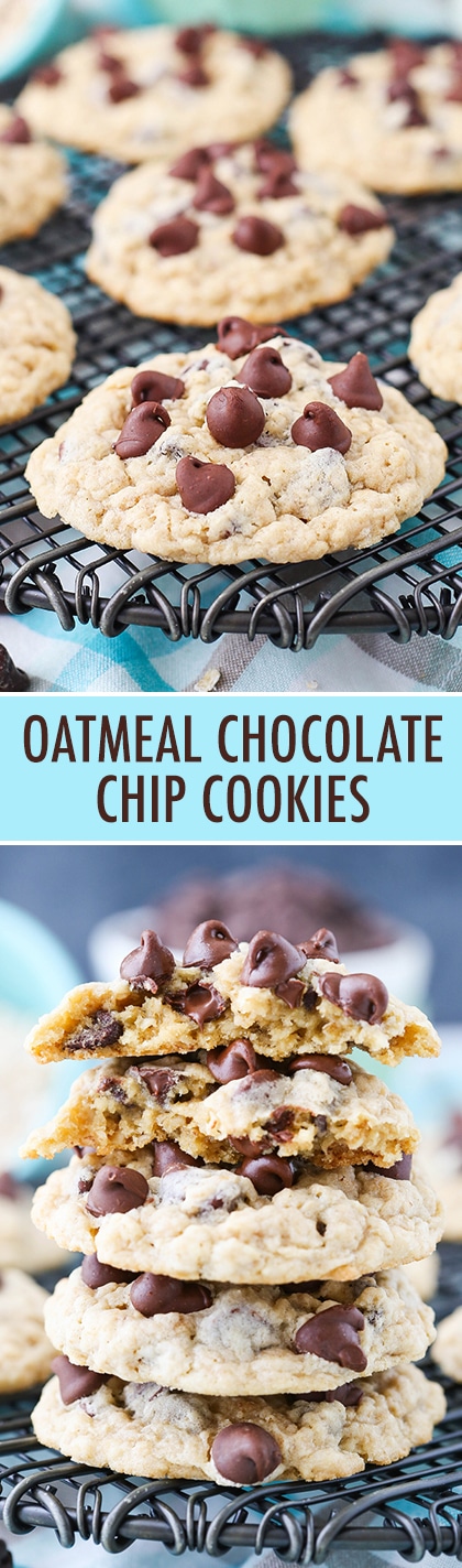 Oatmeal Chocolate Chip Cookies - soft, chewy and full of oatmeal and chocolate chips!