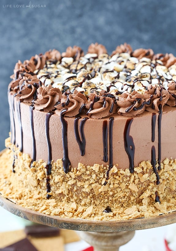 Smores Ice Cream Cake on a cake stand