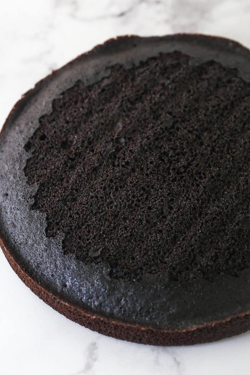 Chocolate cake with the dome removed