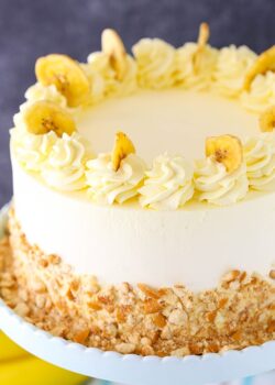 overhead image of Banana Pudding Ice Cream Cake