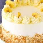 Banana ice cream cake decorated with banana slices.