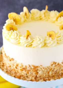 Banana ice cream cake decorated with banana slices.