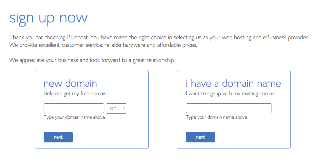 Domain Name registration process