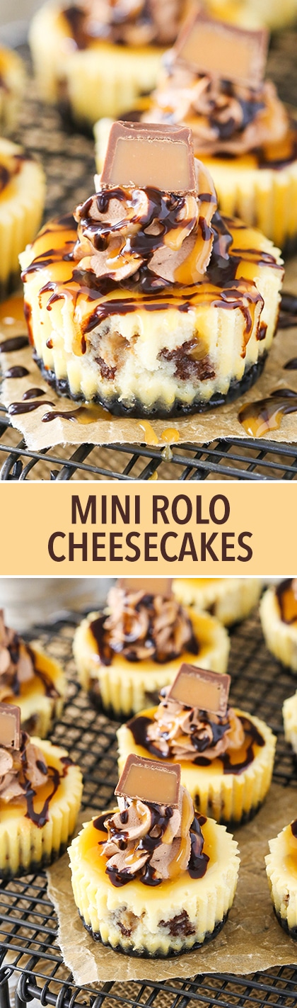 Mini Rolo Cheesecakes - an Oreo crust and rolo-filled cheesecake topped with chocolate whipped cream and chocolate and caramel sauce!