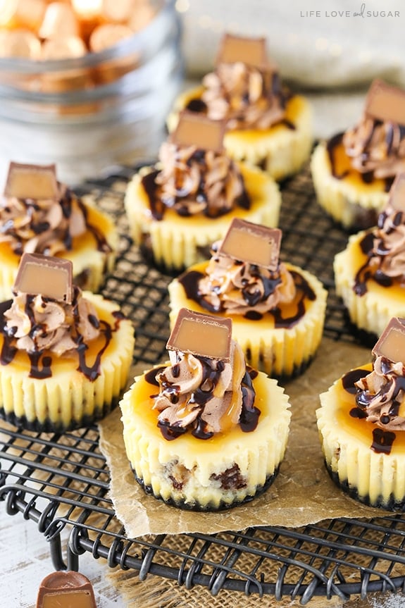 Overhead view of Mini Rolo Cheesecakes on a cooling rack