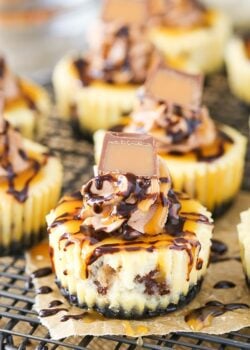 Close-up of Mini Rolo Cheesecakes on a cooling rack