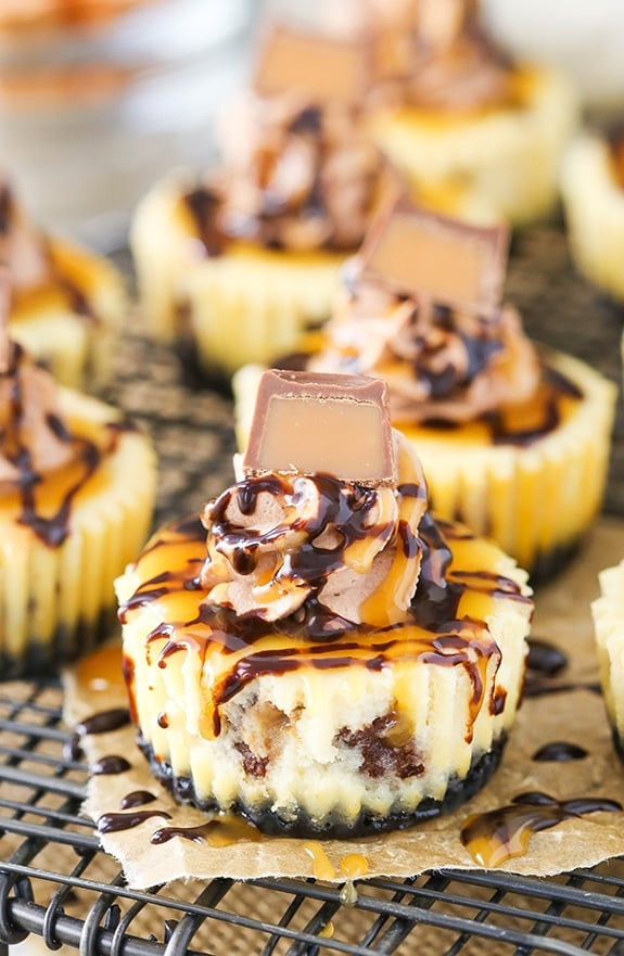 Mini Rolo Cheesecakes - an Oreo crust and rolo-filled cheesecake topped with chocolate whipped cream and chocolate and caramel sauce!