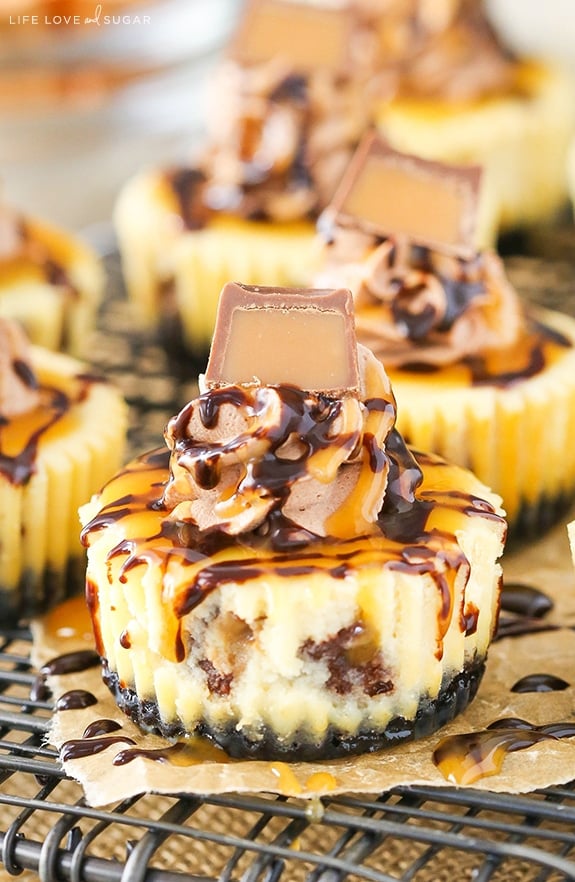 Close-up of Mini Rolo Cheesecakes on a cooling rack