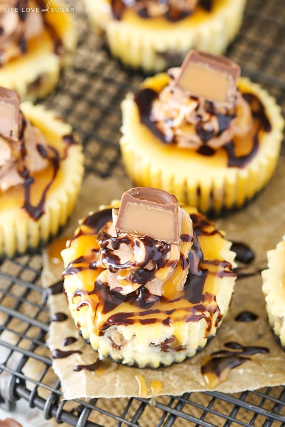 Overhead view of Mini Rolo Cheesecakes on a cooling rack