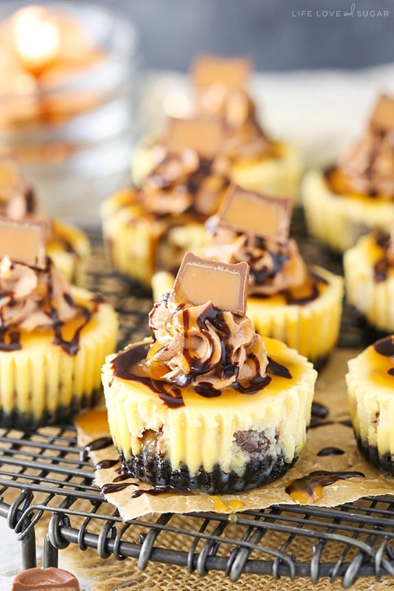 Mini Rolo Cheesecakes on a cooling rack