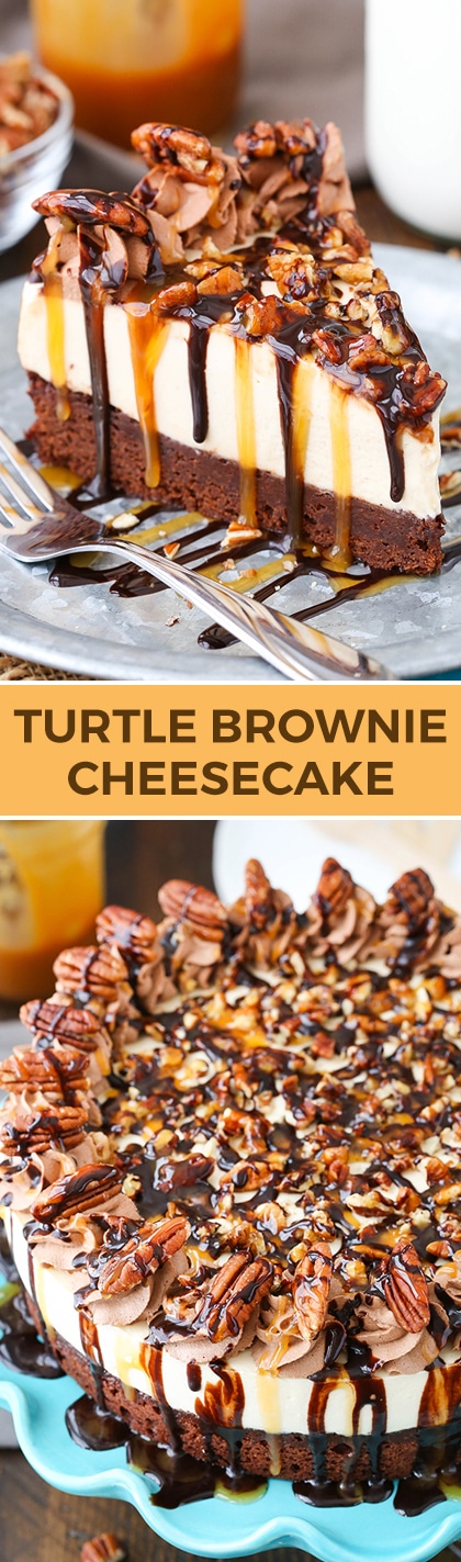 Turtle Brownie Cheesecake - brownie bottom, caramel cheesecake, and pecans! Perfect dessert for fall!