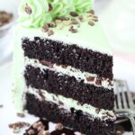 close up image of Mint Chocolate Chip Layer Cake slice