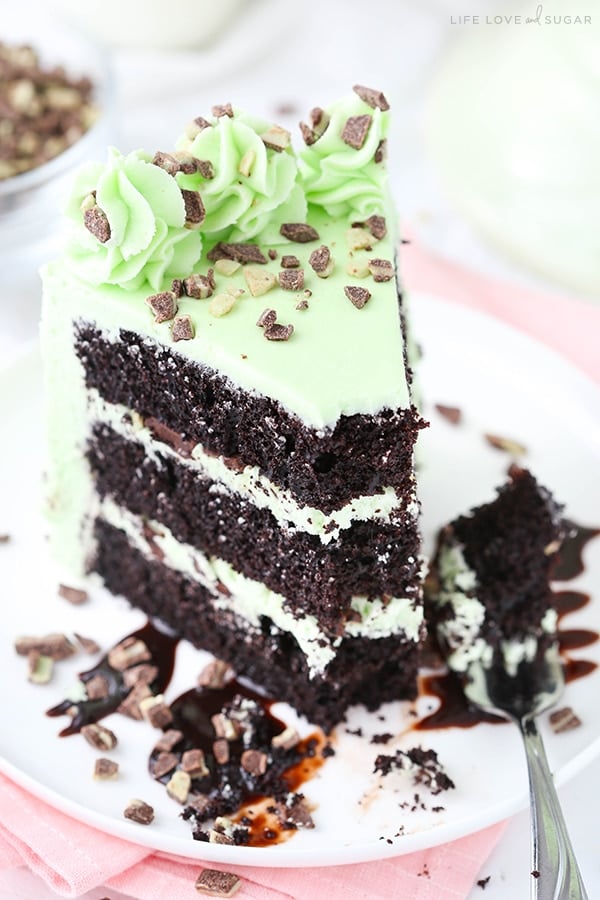 Best Homemade Mint Chocolate Chip Cake